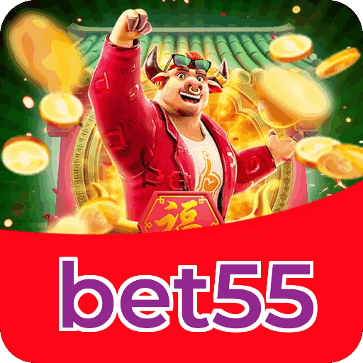 Login rápido no app bet55